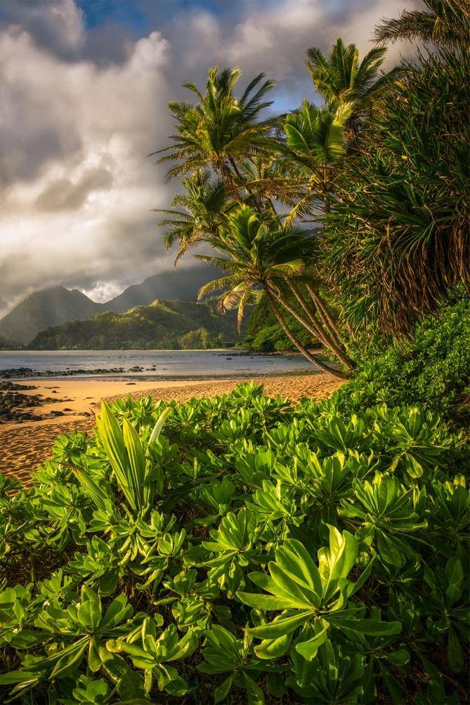 THE GARDEN ISLAND OF KAUAI | Marlon Holden Fine Art