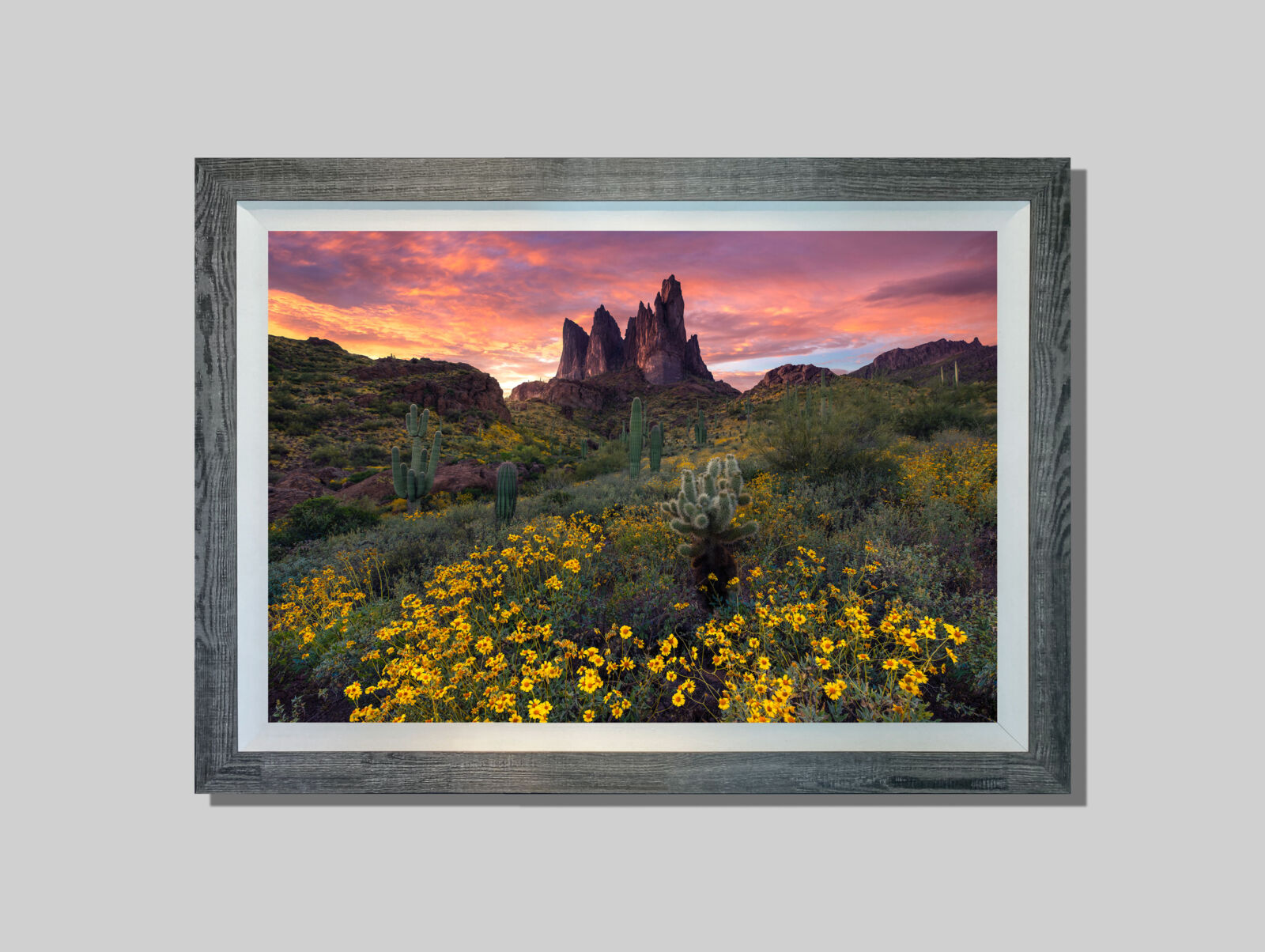 Renewed Deserts Dunes Marlon Holden Fine Art