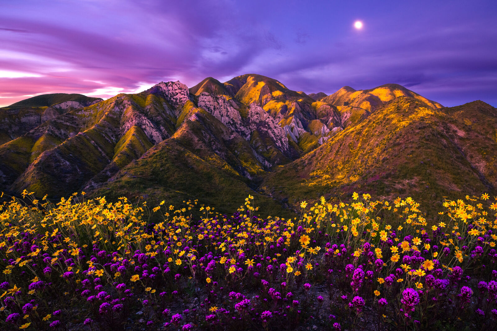 Pandora Mountains Lakes Marlon Holden Fine Art